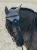 Nauszniki sportive blue ash equestrian stockholm  (4).webp