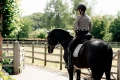 czaprak sportive blue ash dressage equestrian stockholm  (3).webp