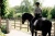 czaprak sportive blue ash dressage equestrian stockholm  (3).webp