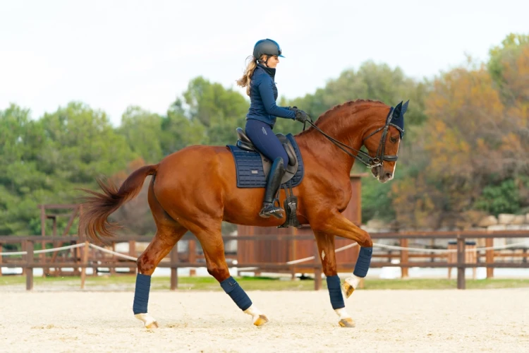 owijki sportive navy equestrian stockholm  (2).webp