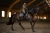 czaprak ujeżdżeniowy amaranth brązowy equestrian stockholm  (2).webp