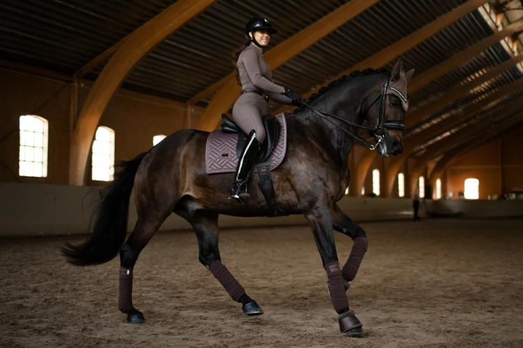 czaprak ujeżdżeniowy amaranth brązowy equestrian stockholm  (2).webp