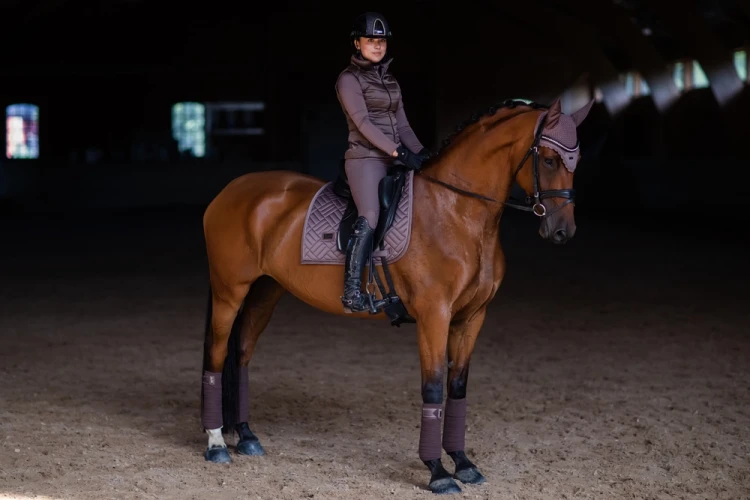 czaprak ujeżdżeniowy amaranth brązowy equestrian stockholm  (4).webp