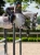 czaprak skokowy amaranth brązowy equestrian stockholm  (1).webp