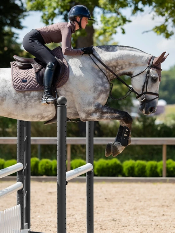 czaprak skokowy amaranth brązowy equestrian stockholm  (1).webp
