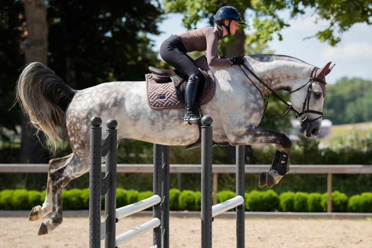 czaprak skokowy amaranth brązowy equestrian stockholm  (2).webp