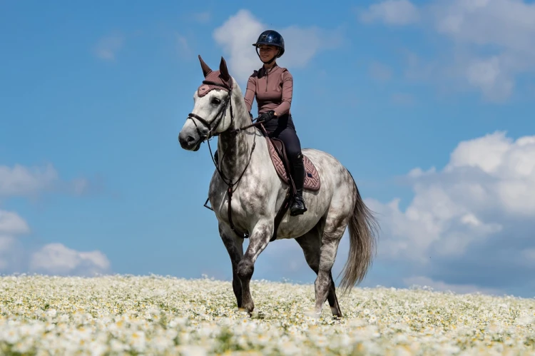 czaprak skokowy amaranth brązowy equestrian stockholm  (3).webp