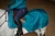 derka treningowa morski auora blues equestrian stockholm  (4).webp