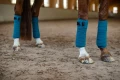 owijki aurora blues equestrian stockholm (4).webp