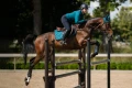 nauszniki aurora blues morski equestrian stockholm  (5).webp