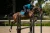 nauszniki aurora blues morski equestrian stockholm  (5).webp