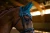 nauszniki aurora blues morski equestrian stockholm  (6).webp