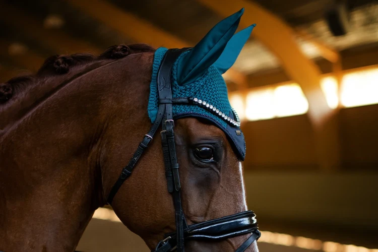 nauszniki aurora blues morski equestrian stockholm  (6).webp