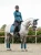 czaprak ujeżdżeniowy aurora blues morski equestrian stockholm  (2).webp