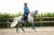 czaprak ujeżdżeniowy aurora blues morski equestrian stockholm  (4).webp