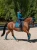 czaprak ujeżdżeniowy aurora blues morski equestrian stockholm  (5).webp