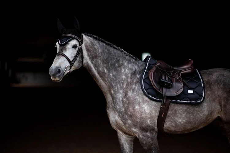czaprak skokowy czarny equestrian stockholm' (1).webp
