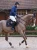 czaprak skokowy czarny equestrian stockholm' (4).webp