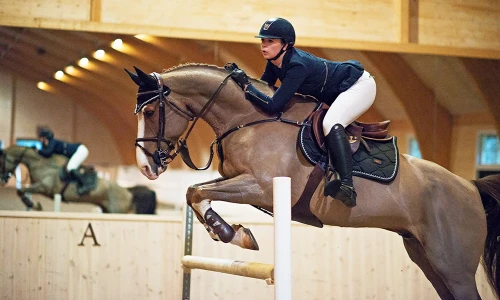 czaprak skokowy czarny equestrian stockholm' (5).webp
