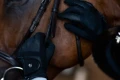 rękawiczki jeździeckie czarne equestrian stockholm  (2).webp