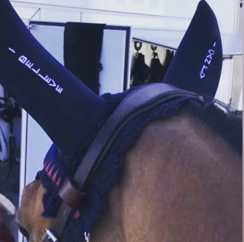 Nauszniki I belive I can Fly.jpeg