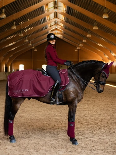 derka treningowa bordowa equestrian stockholm  (1).webp