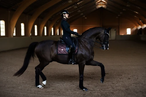 czaprak ujeżdżeniowy brokatowy equestrian stockholm  (1).webp