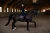 czaprak ujeżdżeniowy brokatowy equestrian stockholm  (1).webp