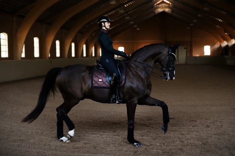 czaprak ujeżdżeniowy brokatowy equestrian stockholm  (1).webp