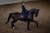 czaprak ujeżdżeniowy brokatowy equestrian stockholm  (3).webp