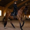 owijki czarne dla koni equestrian stockholm  (4).webp