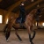 owijki czarne dla koni equestrian stockholm  (4).webp