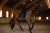 czaprak ujeżdżeniowy czarny equestrian stockholm  (5).webp