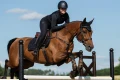 black-glimmer-jumping-saddle-pad-hoppschabrak-springschabrack-spring-zadeldekje-on2.webp