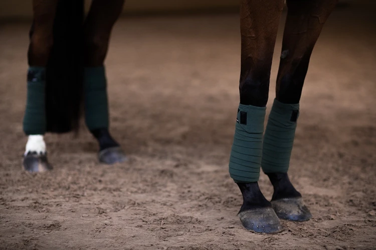 owijki sportive-sycamore-green-equestrian stockholm  (3).webp