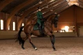 owijki sportive-sycamore-green-equestrian stockholm  (4).webp