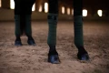 owijki sycamore-green equstrian stockholm  (3).webp