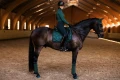 owijki sycamore-green equstrian stockholm  (4).webp