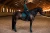 owijki sycamore-green equstrian stockholm  (4).webp