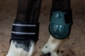 ochraniacze sycamore-green-equestrian stockholm  (3).webp