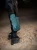 ochraniacze sycamore-green-equestrian stockholm - (2).webp