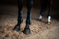 ochraniacze sycamore-green-equestrian stockholm - (4).webp