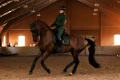 sportive-sycamore-green-nauszniki equestrian stockholm  (3).webp
