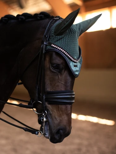 sycamore-green-nauszniki equestrian stockholm  (2).webp