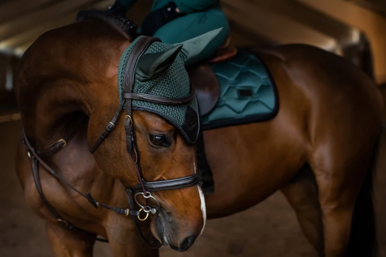 sycamore-green-nauszniki equestrian stockholm  (4).webp