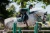 czaprak sportive-sycamore-green-skokowy equestrian stockholm  (4).webp