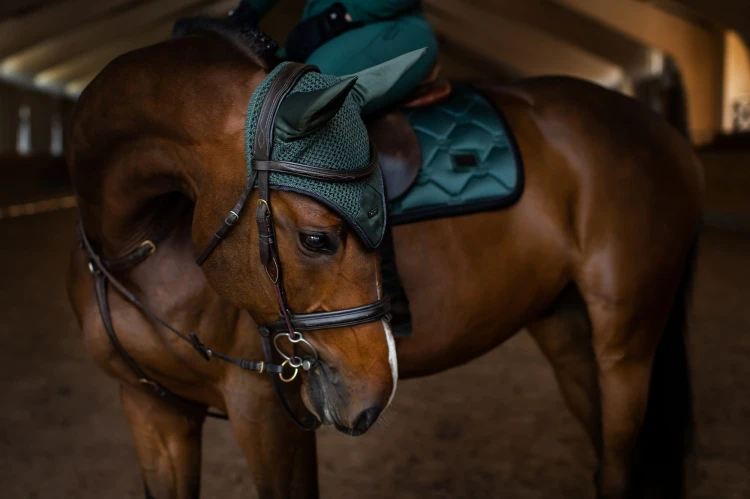 czaprak skokoy sycamore green equestrian stockholm  (1).jpg