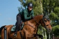 czaprak skokoy sycamore green equestrian stockholm  (4).webp