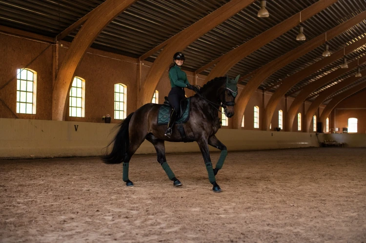 czaprak ujeżdżeniowy sycamore green equestrian stockholm  (1).jpg