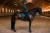 czaprak ujeżdżeniowy sycamore green equestrian stockholm  (1).webp